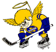 Minnesota fighting saints.png