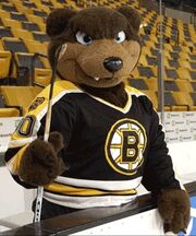 BladesBruins