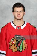 Alex DeBrincat