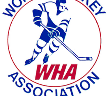 Craig Hartsburg, NHL Hockey Wikia