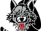 Chicago Wolves