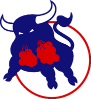 Birmingham Bulls