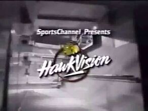Hawkvision.jpg
