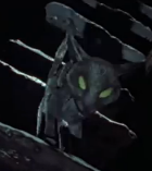 Cat1.png