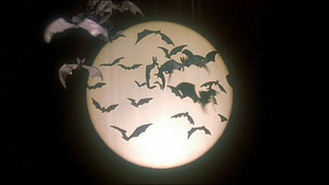 Bats1.png