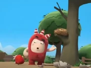 FuseShowingTheBirdTheNestHePuttedBack