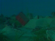 Container sinks back down to the bottom