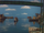 Foduck in Reverse/Gallery