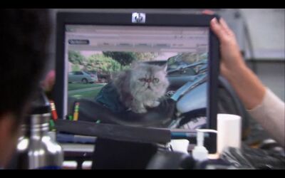 Screenshot 20200908-112555 Netflix.jpg