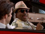 Florida stanley.jpg
