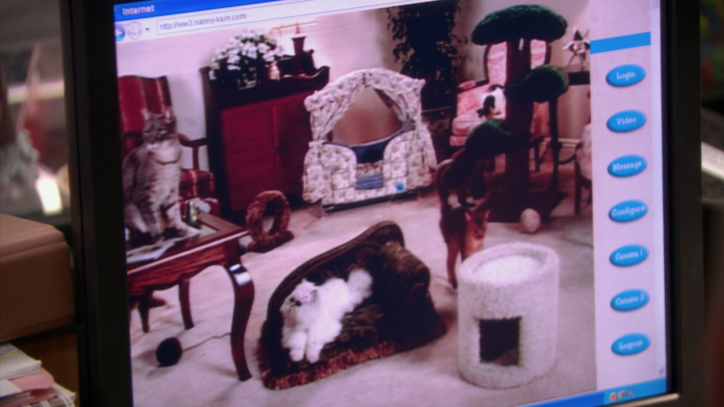 nanny cam for cats