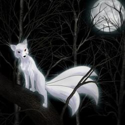 Kitsune The Old Ones The Immortal Chronicles Wiki Fandom Kitsune The Old Ones The Immortal Chronicles Wiki Fandom