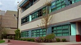 New breed university.jpg