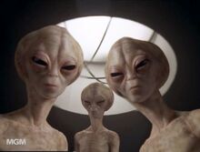 Beyond the veil 1