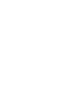 Private Division Logo