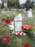 Harold Pruett-grave