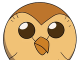 Hooty