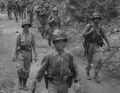 1stmardiv puller guadalcanal