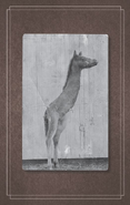Emu-raffe (Deirdre)