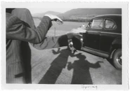 Shapeshifting lessons