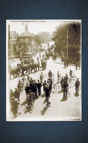 Evacuating elephants