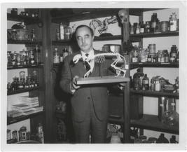 Dr wesley bellichek