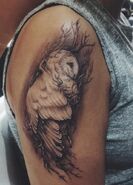 Her seventh tattoo is an owl entwined in branches on her right shoulder. She got the tattoo by artist Stefano Alcantara.