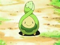 Budew