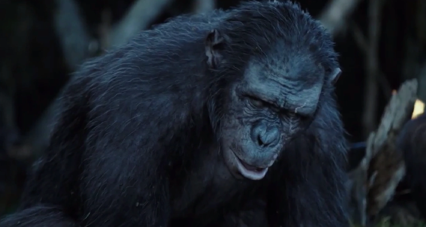 dawn of the planet of the apes koba vs caesar