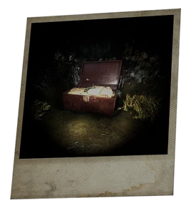 Escapology trunk
