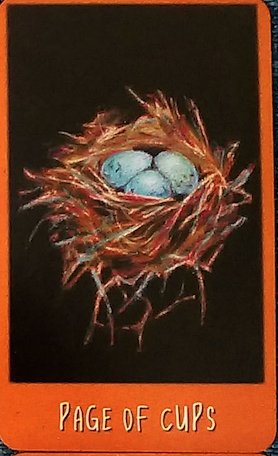 Page of Cups | The Raven Boys Wiki | Fandom