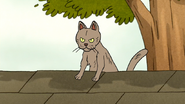 S6E20.013 A Mean-Looking Cat