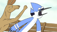 S6E13.148 Mordecai Getting Punched by a Mad Kangaroo from Behind