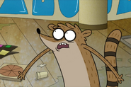 Distressed Rigby