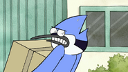 Mordecai is angry while holding a box