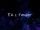T.G.I. Tuesday/Gallery