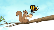 S5E29.003 A Butterfly Giving an Acorn to the Squirrel