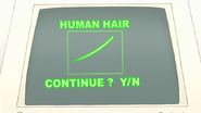 S7E29.117 Human Hair