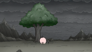 S8E07.189 Pops Still Cowering Under a Tree