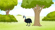 S6E24.101 Cassowary Standing Next to a Tree