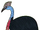 Cassowary.png
