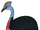 Cassowary