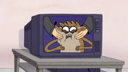 S5E28.022 Rigby on TV