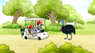 S6E24.125 Mordecai Stopping in Front of the Cassowary