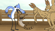 S6E13.146 Rigby Getting Punched by a Mad Kangaroo