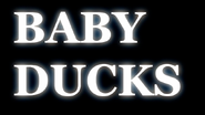 S6E24.015 Baby Ducks in Word Form