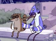 Mordecai with a bandage on his head after the climax in "Bet to be Blonde"