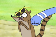 Rigby jinxed 7