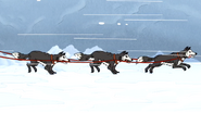 S4E26.148 Sled Dogs