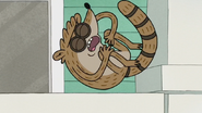S7E24.023 Rigby Curled Up in a Ball